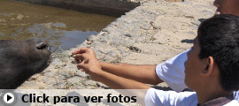 Click para ver fotos